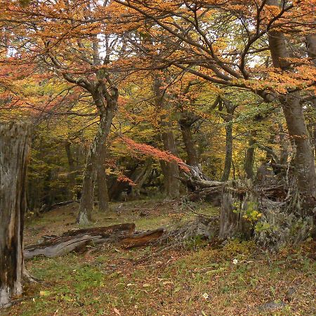 Hotel Posada Las Lengas Veintiocho de Noviembre 외부 사진